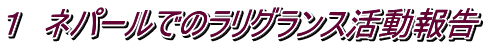 １　ネパールでのラリグランス活動報告